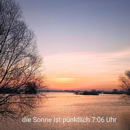 Zur Nachtigall Damnatz Zewnętrze zdjęcie